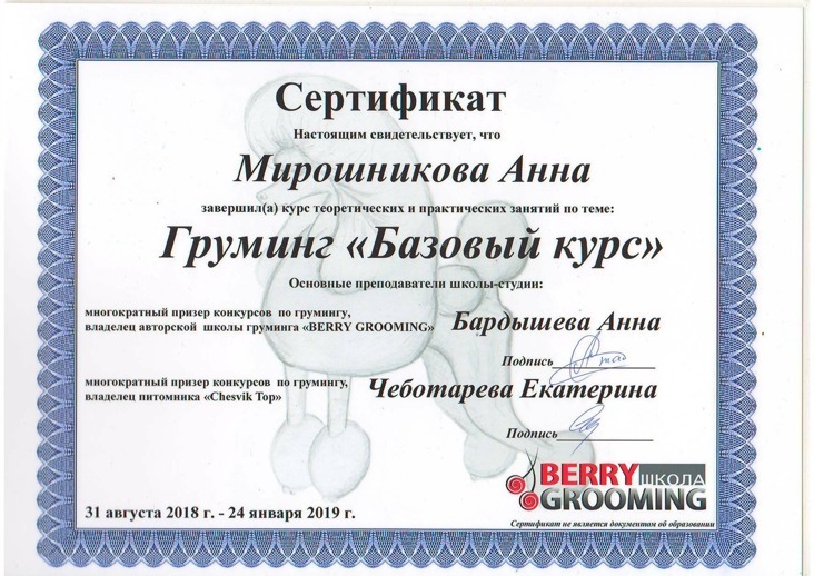 Сертификаты, подтверждающие профессионализм грумеров 