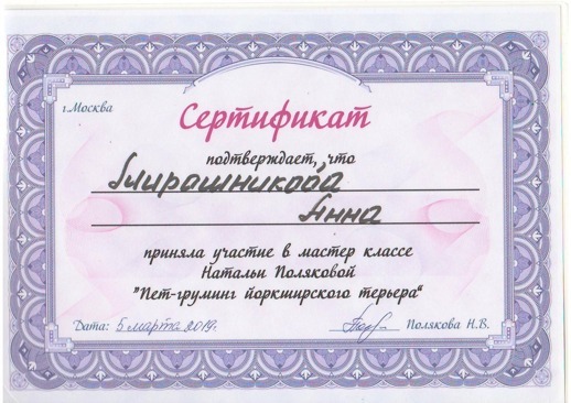 Сертификаты, подтверждающие профессионализм грумеров 