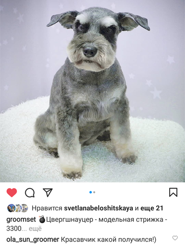Изображение №1