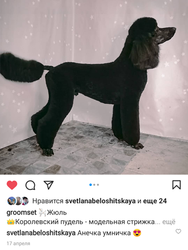 Изображение №3