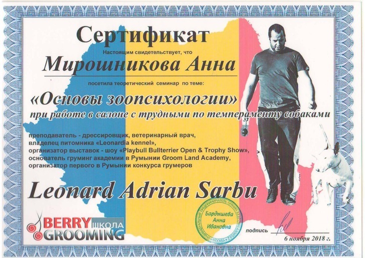 Сертификаты, подтверждающие профессионализм грумеров