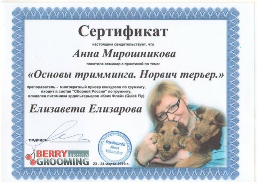 Сертификаты, подтверждающие профессионализм грумеров 